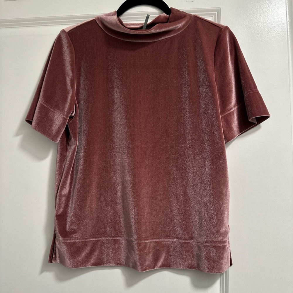 Anthropologie Velvet Short Sleeve Top in Dusty Rose
